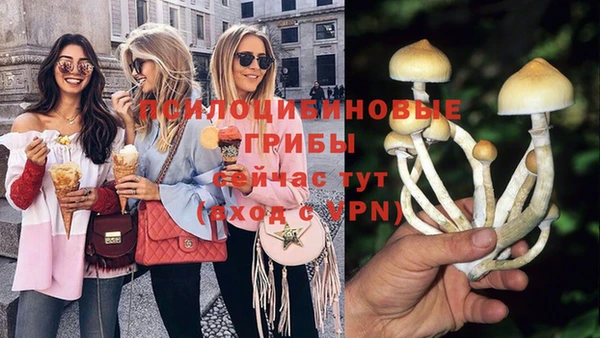 марки nbome Инсар